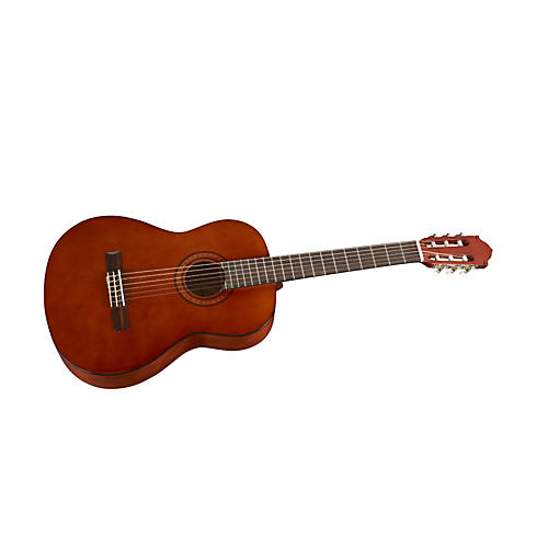 Classical Acoustic Guitar