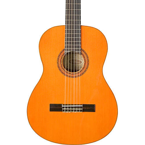 Washburn Classical Acoustic Guitar