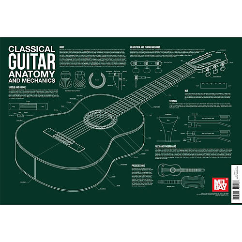 Classical Guitar Anatomy and Mechanics Wall Chart