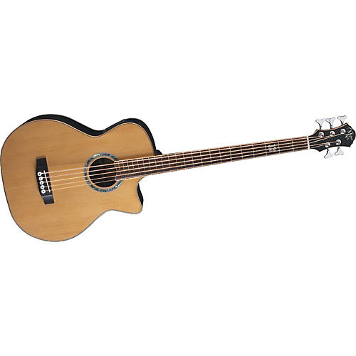 Club Deluxe 5-String Acoustic-Electric Bass