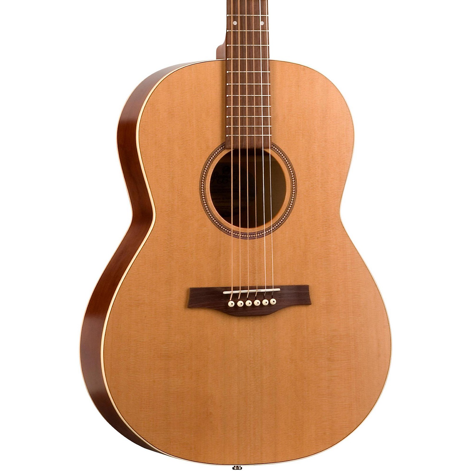 Seagull Coastline S6 Folk Acoustic Guitar Musician