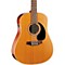 Coastline Series S12 Dreadnought 12-String QI Acoustic-Electric Guitar Level 2 Natural 888365514628