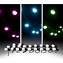American DJ Color Strand LED 30' Light Strand with Remote Black