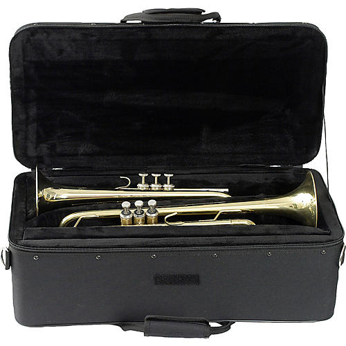 Combination PRO PAC Double Trumpet Case