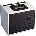 AER Compact 60/4 60W 1x8 Acoustic Guitar Combo Amplifier Mahogany OakWhite Textured