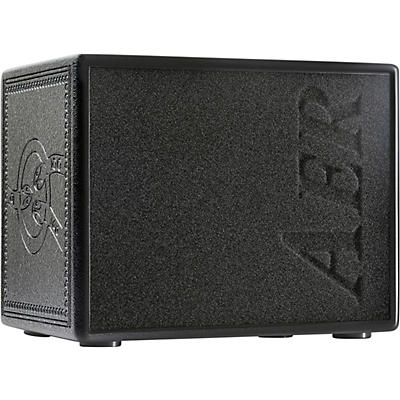 AER Compact 60/4 TE 60W 1x8 Acoustic Guitar Combo Amp