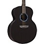 RainSong Concert Series Jumbo Acoustic-Electric Guitar Graphite