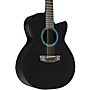 RainSong Concert Series WS 12-string Acoustic-Electric Guitar Graphite