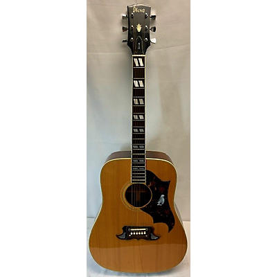 Ibanez Concord Acoustic Guitar