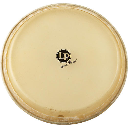 World Percussion Drum Heads