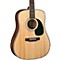 Contemporary Series BR-70A Dreadnought Acoustic Guitar Level 2 Natural 888366025291