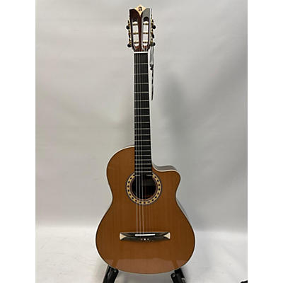 Alhambra Cs3 Cws E8 Classical Acoustic Electric Guitar