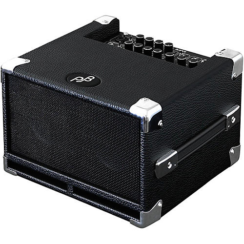 Cub Bass Combo Amplifier