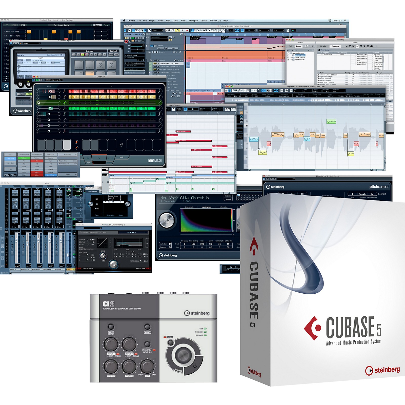 Steinberg Cubase Studio w/ Ci2 Interface Bundle | Musician's Friend