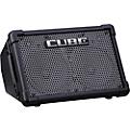 Roland Cube Street EX Battery-Powered Stereo Guitar Amplifier Condition 1 - MintCondition 1 - Mint