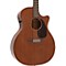 Custom GPCPA4 Mahogany Acoustic-Electric Guitar Level 2 Natural 888365811482