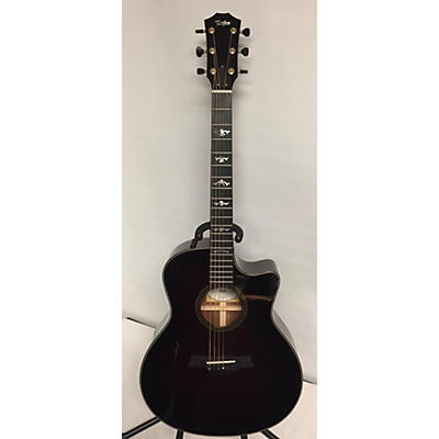 Taylor Custom GS Blackwood Acoustic Electric Guitar