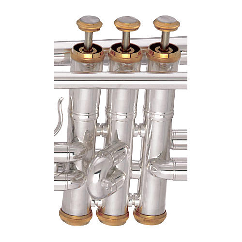 Custom Series Gold Trumpet Trim Kit