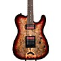 Schecter Guitar Research Custom Shop PT USA Buckeye Burl 6-String Electric Guitar Gray Stabilized With Pale Center 2005005