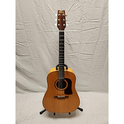 Washburn D-24 Acoustic Guitar