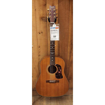 Washburn D-25-SN Acoustic Guitar