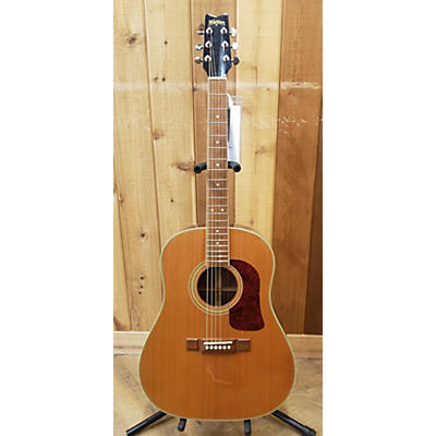 Washburn D-25S Acoustic Electric Guitar