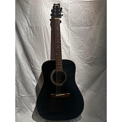 Washburn D10 E BK Acoustic Electric Guitar