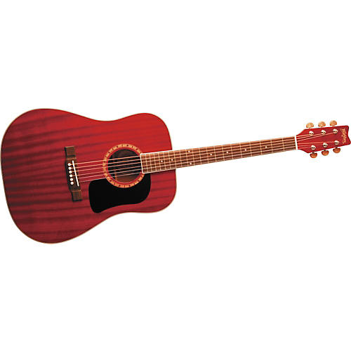 D100DL Acoustic Guitar