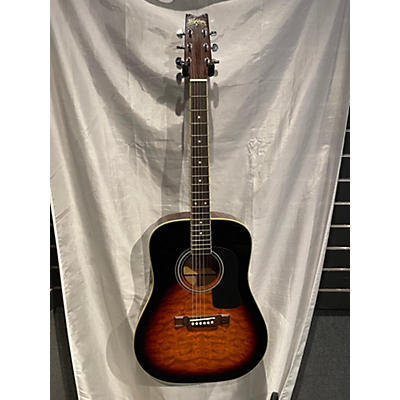Washburn D10Q Acoustic Guitar