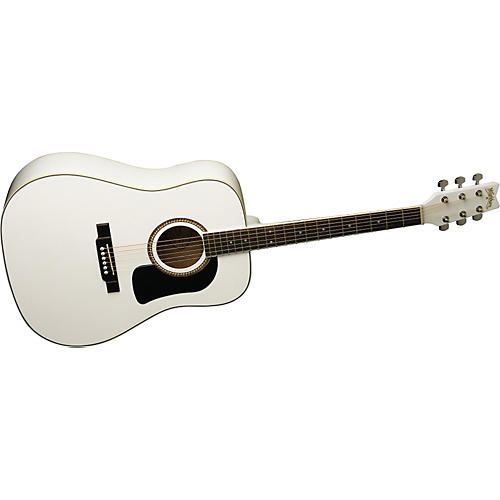 D10S Acoustic Guitar