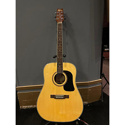 Washburn D10S Acoustic Guitar