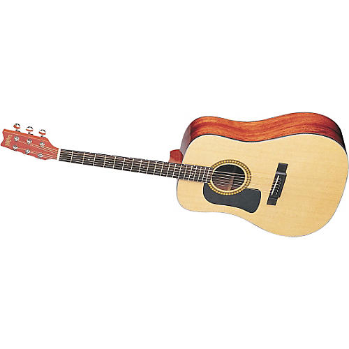D10S Left-Handed Acoustic Guitar with Case
