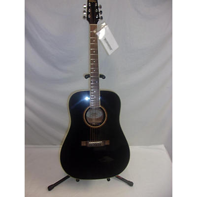 Washburn D10SB Acoustic Guitar