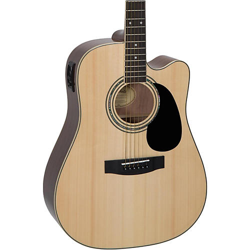 D120SCE Acoustic-Electric Guitar