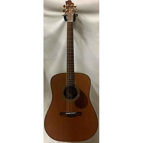 D15E Acoustic Electric Guitar