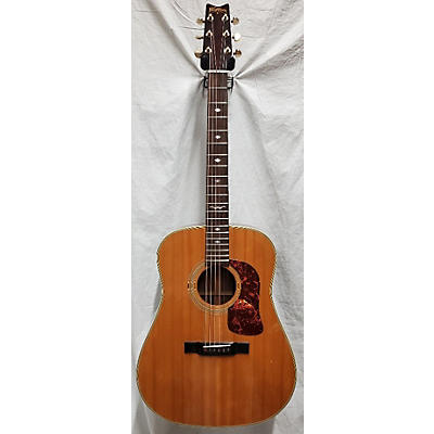 Washburn D21 Acoustic Guitar