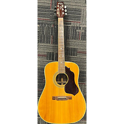 Washburn D21S/N Acoustic Guitar