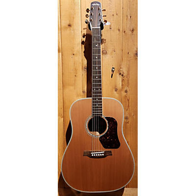 Walden D670 Acoustic Guitar