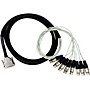 Rapco Horizon DA88XF - Analog DB25-XLRF Patch Snake 5 ft.