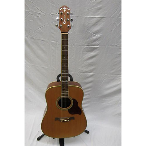 DG/N Acoustic Guitar
