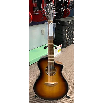 Breedlove DISCOVERY S CONCERT 12 STRING 12 String Acoustic Electric Guitar