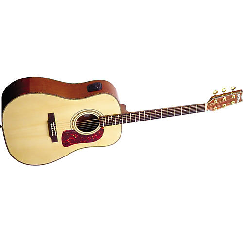 DK20T Dreadnought Acoustic Guitar