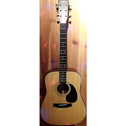 DM-4 Acoustic Guitar