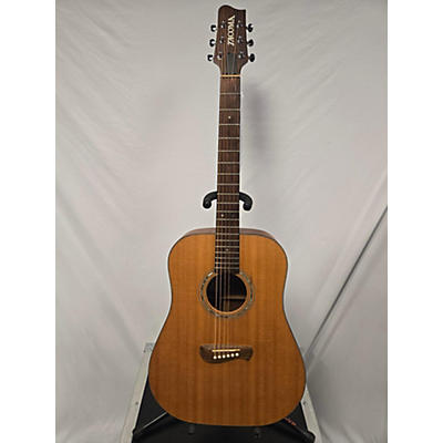 Tacoma DM10 Acoustic Guitar