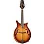 Mitchell DM200E Double Cut Acoustic Mandolin - California Gold