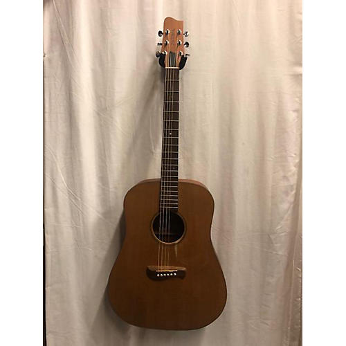 DM9 Acoustic Guitar