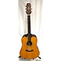 Used Wechter Guitars DN-8118 Acoustic Guitar Natural