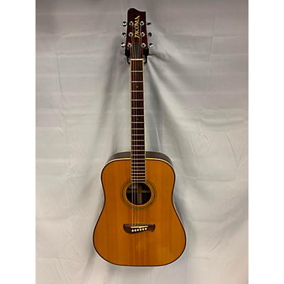 Tacoma DR20 Acoustic Guitar