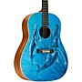 Martin DSS Biosphere II Dreadnought Acoustic Guitar Whale 2910948