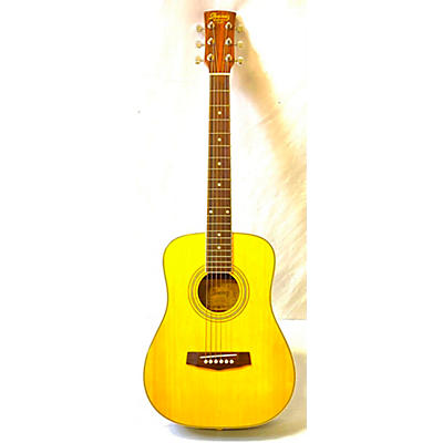 Ibanez DT10NT Daytripper Acoustic Guitar